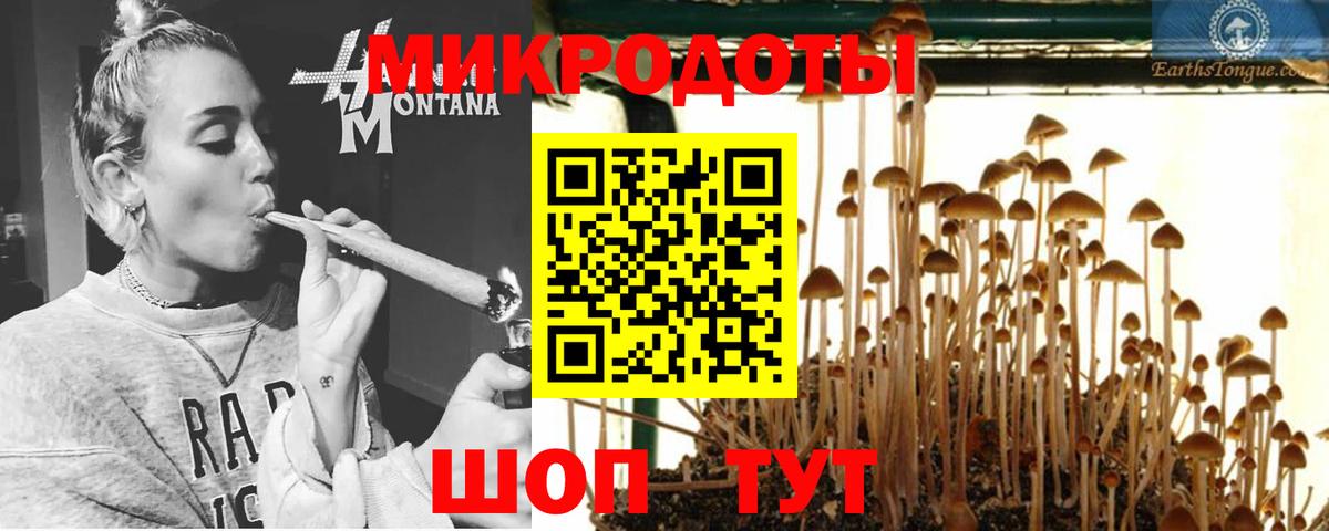 Галлюциногенные грибы мухоморы  магазин  наркотиков  Красный Сулин  Вход с VPN 