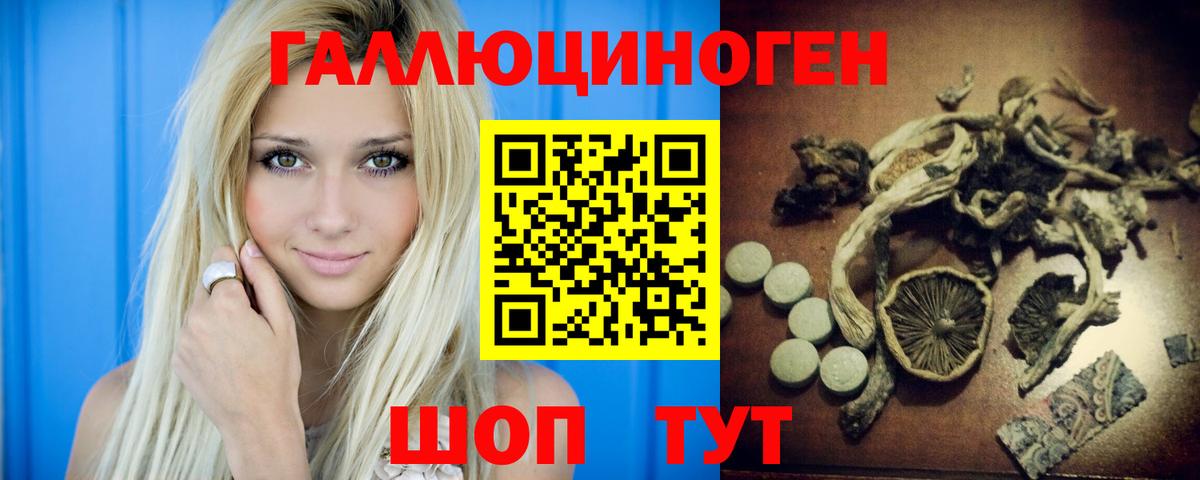 Галлюциногенные грибы Psilocybine cubensis Красный Сулин